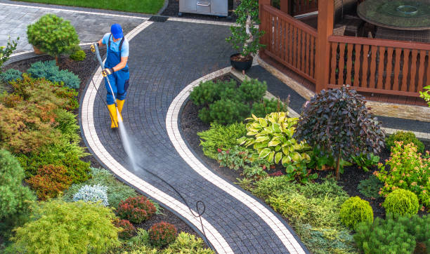 Best Exterior Home Cleaning  in Saxonburg, PA
